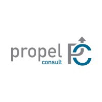 Propel Consult